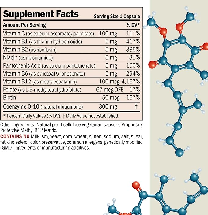 ANDREW LESSMAN Coenzyme Q-10 300 mg 240 Capsules - Essential for Energy Production and Optimum Key Organ Function Anti-Oxidant Support Depleted by Aging Plus B-Complex. Easy to Swallow Capsules