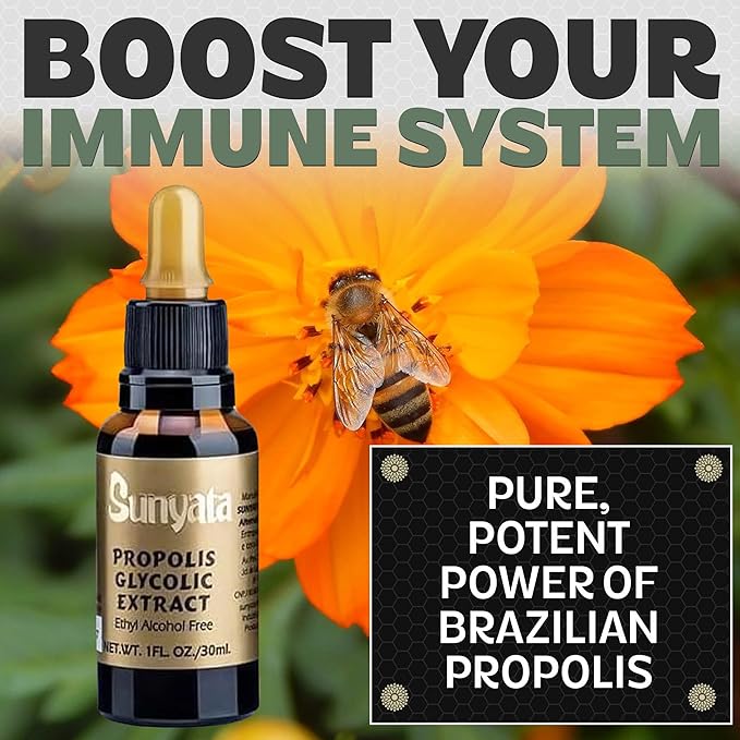 Sunyata Brazilian Green Bee Propolis Liquid Extract – No Alcohol Natural Immune Support &amp Antioxidant Concentrate 30ML (1 Pack)