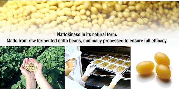 PHARMAKON Natural Nattokinase Organic Fermented Soybean Extract 6000 FUs per Serving