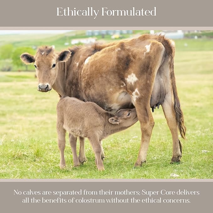 KROMA. ImmunoLin® IgG Powder – Dairy-Free Colostrum Alternative for Gut &amp Immune Support | Lactoferrin (effera™) + HMOs | Vegan Non-GMO | Unflavored | 60 Servings