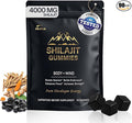 13-in-1 Shilajit Gummies with KSM-66® Ashwagandha | 4000 mg Himalayan Shilajit Extract (20:1) Choline &amp Botanicals | Sugar-Free Vegan | Energy Focus &amp Daily Vitality Support for Men &amp W