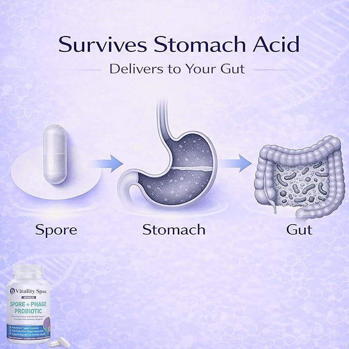 Spore Probiotic Capsules for Women &amp Men Bacillus Subtilis Plus Advanced Phage – Gut Health &amp Digestive Comfort Shelf-Stable Survives Stomach Acid – 120 Delayed Release Capsules