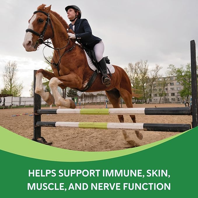 Vitamin E Supplement for Horses High-Potency dl-Alpha Tocopherol Powder Supports Immune Muscle Skin and Nerve Wellness Low Sugar Starch and Fructans (180 Servings)