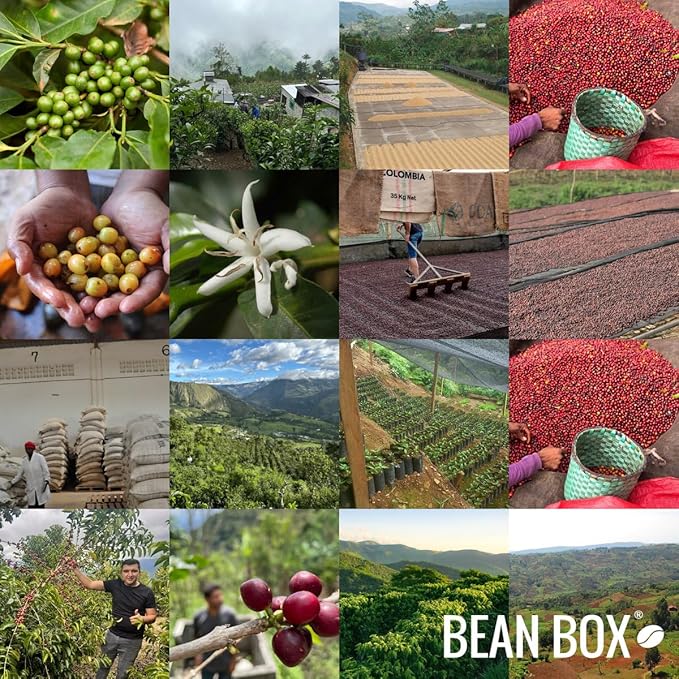 Guatemala Finca De Dios Nacimiento - Roasted by Ruby Coffee Roasters - Whole Bean Coffee - 12 Ounce Bag