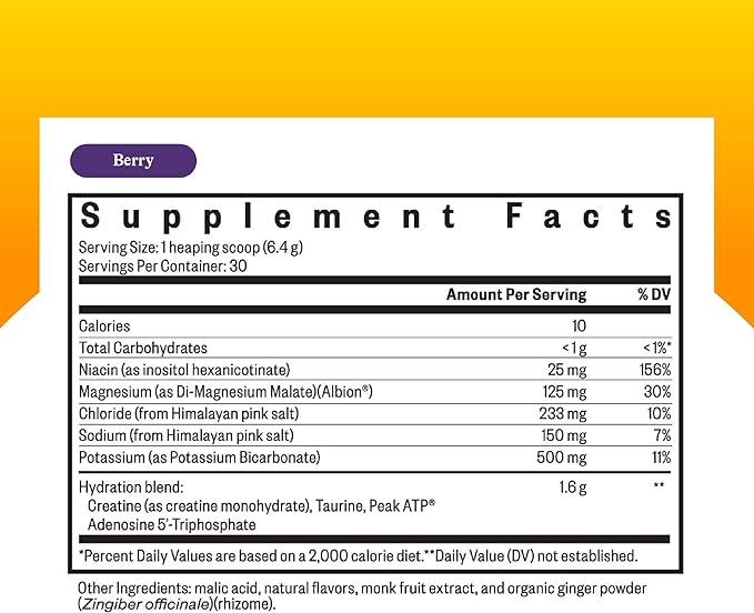 Acetyl-L-Carnitine &amp Optimal Electrolyte: Supports Energy Brain &amp Mood + Electrolyte Powder with Magnesium Sodium &amp Potassium Berry (90/30 Servings)