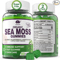 (2 Pack) Sea Moss Gummies - Irish Sea Moss Gummies for Adults &amp Kids - Advanced Superfood Seamoss Supplement + Bladderwrack Burdock Root ExtractACV for Daily Immune Gut Cleanse Vegan Sugar Fr