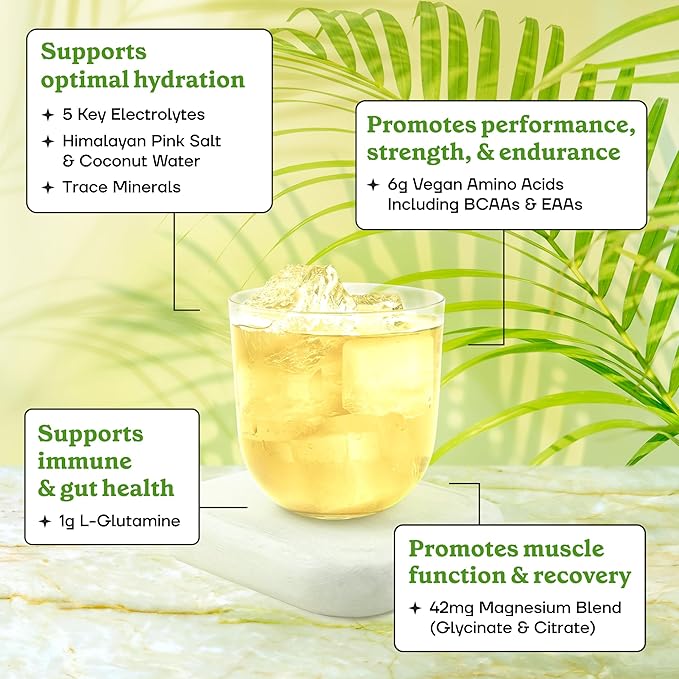 Fit&ampLean Amino Hydration Naturally Sweetened Workout Recovery Drink 6g Vegan Amino Acids Essential Amino Acids EAA BCAA Glutamine Electrolytes Citrus Lime 30 Servings