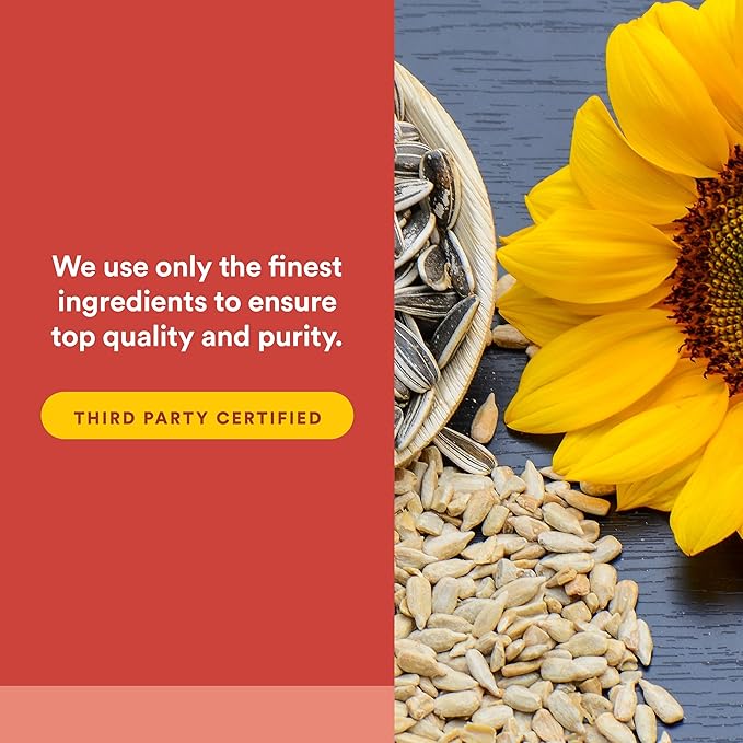 Natural Factors Phosphatidylserine Support for Memory Concentration and Brain Functions Soy and Gluten Free 120 Softgels
