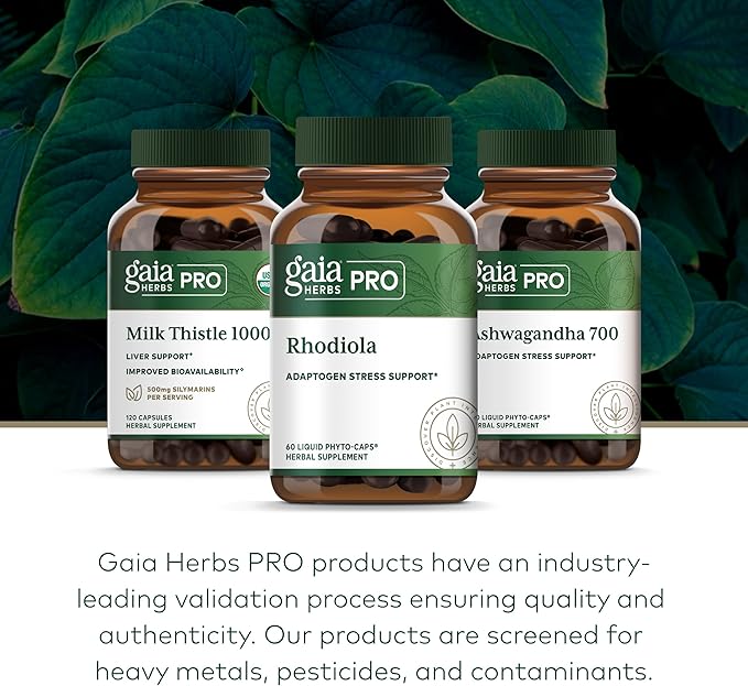 GAIA HERBS PRO Rhodiola - Energy Support Supplement - Adaptogen Support Supplement with Rhodiola Root Extract - Vegan Gluten-Free Soy-Free - 60 Phyto-Caps (30 Servings)