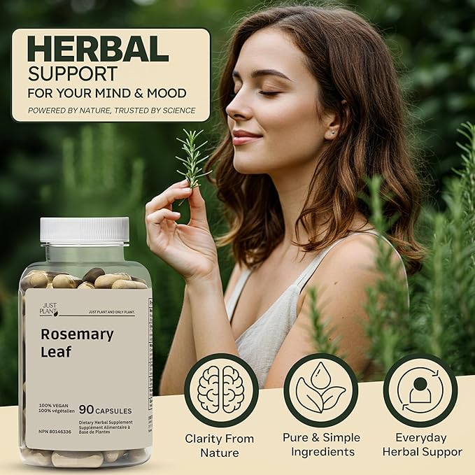 Rosemary Leaf Extract 500mg 90 Vegan Capsules Herbal Supplement for Mind Body &amp Hair Wellness Gluten-Free Plant-Based