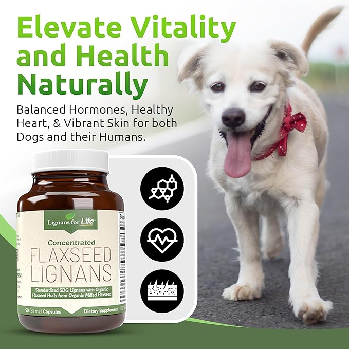Lignans for Life Flaxseed Lignans for Dogs &amp People + SDG - Omega 3 Fatty Acids High Fiber Antioxidants - Improve Shiny Coat Digestive &amp Heart Health for Dogs 35mg 90 Flaxseed Capsules 1