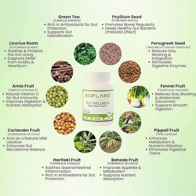 Gut Wellness Women’s Probiotics &amp Mens Probiotics for Gut Health High Potency Probiotic and Prebiotic for Women &amp Men with Digestive Enzymes 10 Billion CFU per 200MG 60 Vegan Capsules