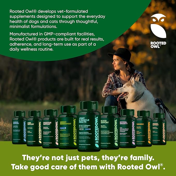Rooted Owl Joint and Muscle Support for Large Dogs (Over 30 Lbs) - Supplement with UC-II Type II Collagen and L-Carnitine - 30 Count