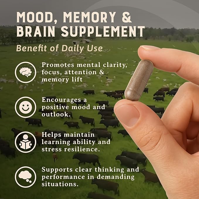 HEART &amp SOIL – 100% Grass Fed &amp Finished Beef Brain Supplement from Regenerative Cattle – for Cognitive Function &amp Memory – 3000mg Focus Supplement with Beef Organs – Glass Bottle – 180 Ca