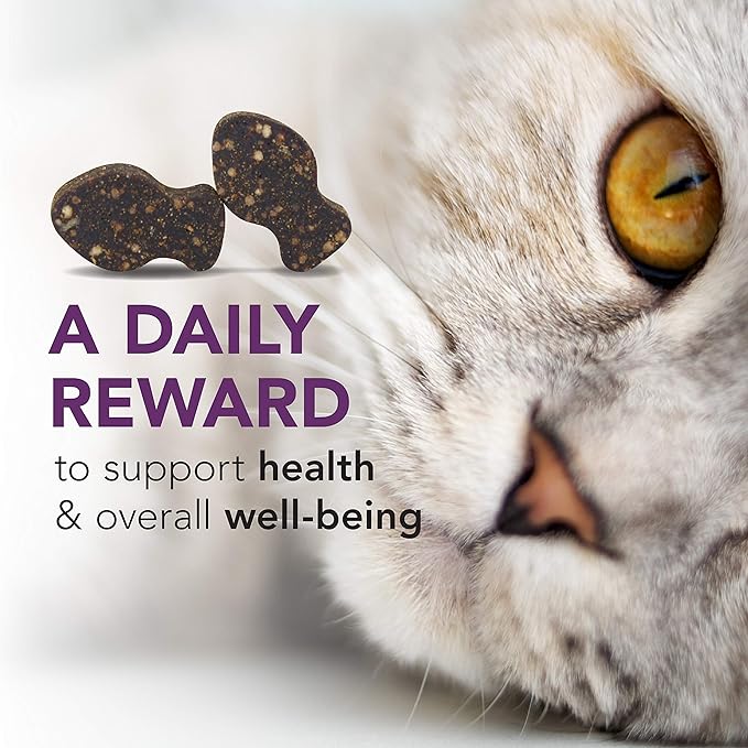 VetriScience Lysine Immunity Health Chews 250 mg Lysine Plus Immune Supplement for Cats and Kittens with Allergies Sneezing Runny Nose and Watery Eyes Chicken 3 Pack