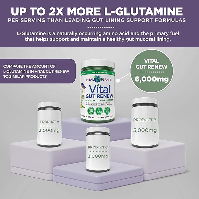 Vital Planet - Vital Gut Renew Powder Supplement for Leaky Gut Repair with L-Glutamine Marshmallow and Ginger Root DGL Licorice Root and Organic Aloe Vera L Glutamine 6000mg 13.76 oz