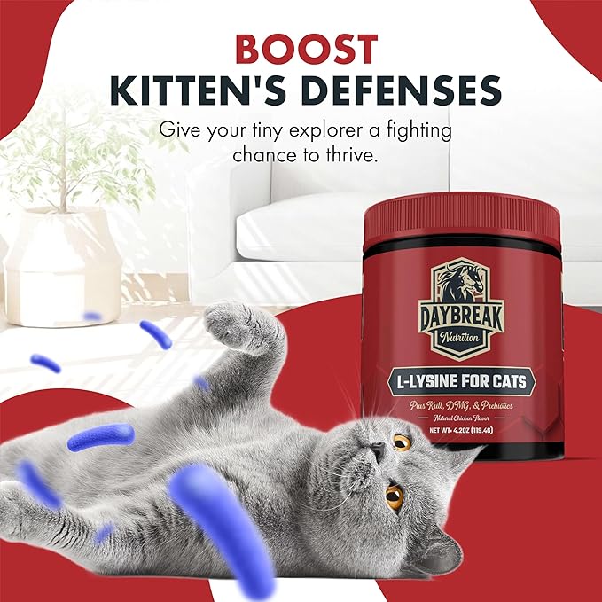 L-Lysine for Cats and Kittens - 900 mg L Lysine Powder for Cats for Immunity &amp Respiratory Support - Cat Supplement with L-Lysine Prebiotics Krill &amp DMG for Immune System Eye Health &amp