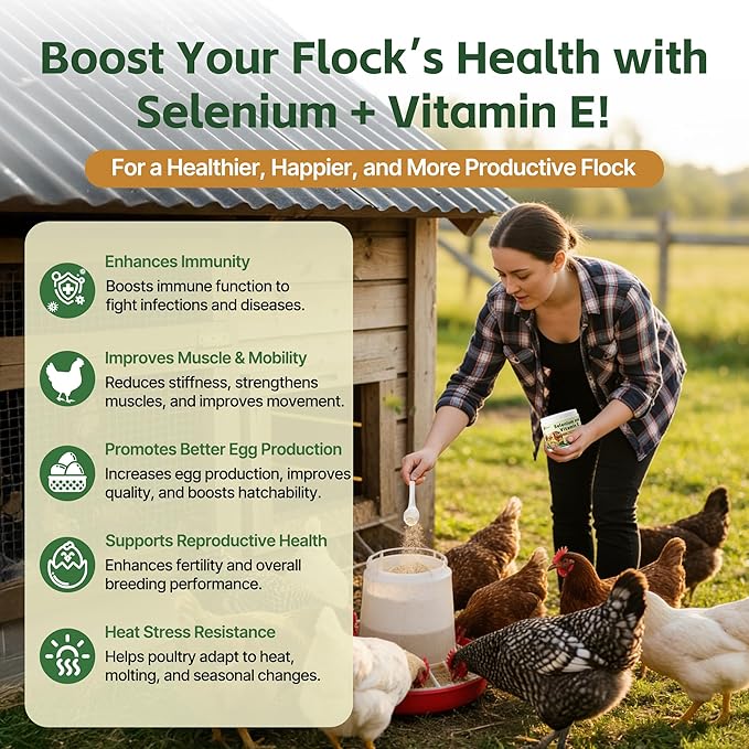 Selenium and Vitamin E Powder for Chickens – Boost Immunity Muscle Support &amp Reproductive Health Selenium for Chickens to Prevent Wry Neck &amp Improve Egg Production Chicken Vitamins for All