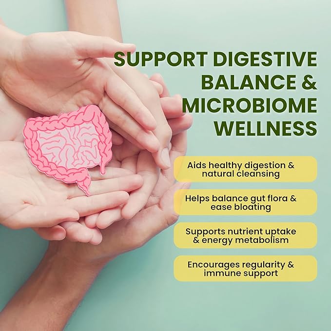 Gut Wellness Women’s Probiotics &amp Mens Probiotics for Gut Health High Potency Probiotic and Prebiotic for Women &amp Men with Digestive Enzymes 10 Billion CFU per 200MG 60 Vegan Capsules
