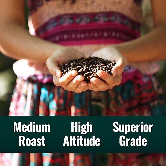 Natural Force Organic Clean Decaf Coffee + Organic MCT Oil Bundle – 100% Pure Coconut MCTs &amp Mold &amp Mycotoxin Free Coffee – Non-GMO Keto Paleo and Vegan - 12 Oz and 16 Oz