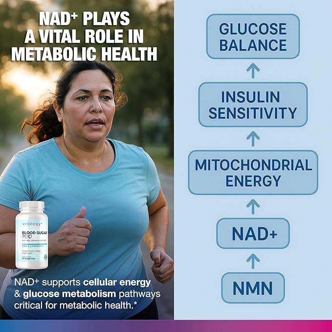 Metabolic Balance PRO – Cellular Energy &amp Nutrient Utilization Support – NMN Berberine Urolithin A Resveratrol – 60 Veggie Capsules