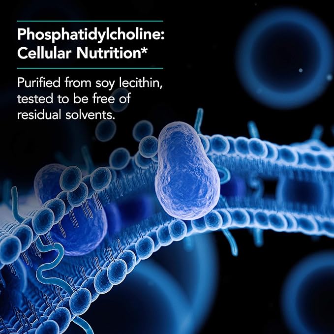 NutriCology Phosphatidyl Choline - 385 mg Phosphatidylcholine Lecithin - Brain Liver &amp Cell Membrane Support - Softgel Capsules - Soy-Based Supplement - 25 Servings - 100 Count