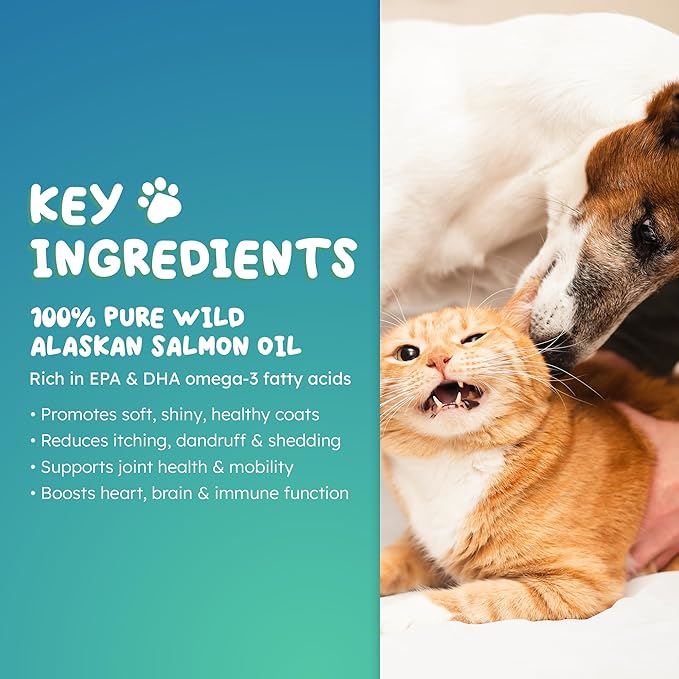 Salmon Oil for Dogs &amp Cats – Wild Alaskan Omega-3 Fish Oil with EPA &amp DHA for Skin &amp Coat Joint Heart &amp Immune Health (250ml)