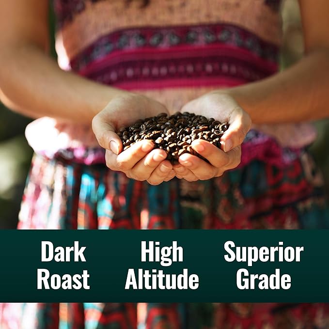 Natural Force Organic Dark Roast Clean Coffee + Organic MCT Oil Bundle – 100% Pure Coconut MCTs &amp Mold &amp Mycotoxin Free Coffee – Non-GMO Keto Paleo and Vegan - 12 Oz and 32 Oz