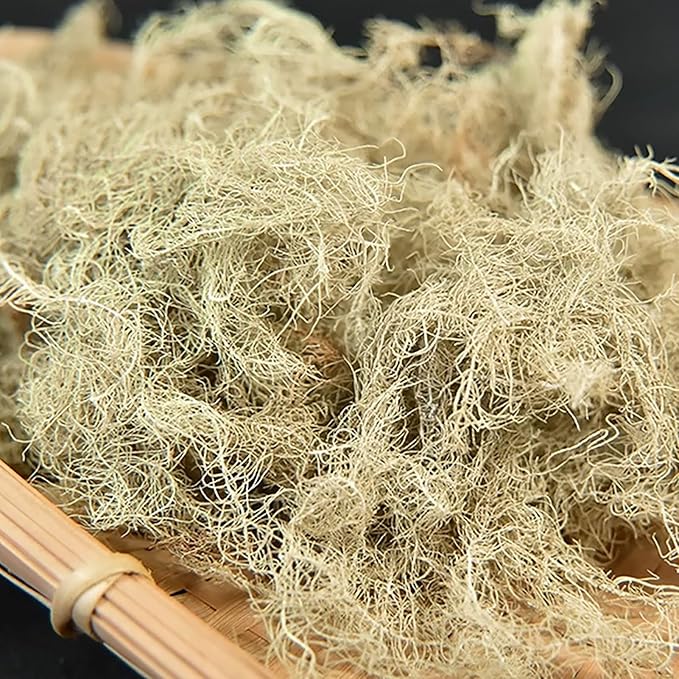 Usnea Lichen Herb Bulk – 300g Dried Usnea Barbata Natural Botanical for Homemade Tea Herbal Remedies Craft &amp Apothecary (1 LB)