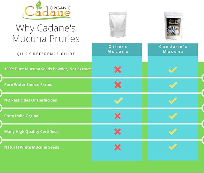 Organic Cadane Mucuna Pruriens Powder 1 Pound | Promotes Brain Health Supports Immune System Energy | USDA Certified Vegan-Friendly Supplements | Pure Natural Velvet Beans Extract from India