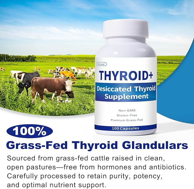 Grass-Fed Desiccated Thyroid Supplement (100 Capsules) – for Hypothyroidism &amp Hashimoto’s | Desiccated Thyroid Supplement for Women – Supports Energy Mood Balance Focus &amp Metabolism