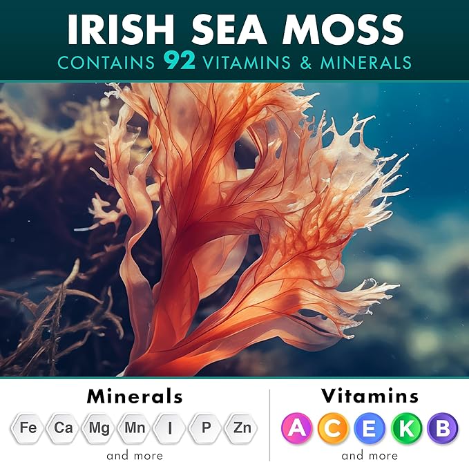 Secret Element Irish Sea Moss Black Seed Oil Ashwagandha Ginger 20000mg Capsules Seamoss Black Seed Oil Ashwagandha Burdock Root All in One Supplement 120 Capsules