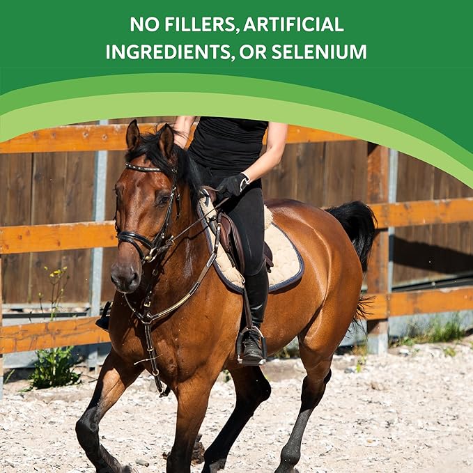 Vitamin E Supplement for Horses High-Potency dl-Alpha Tocopherol Powder Supports Immune Muscle Skin and Nerve Wellness Low Sugar Starch and Fructans (180 Servings)