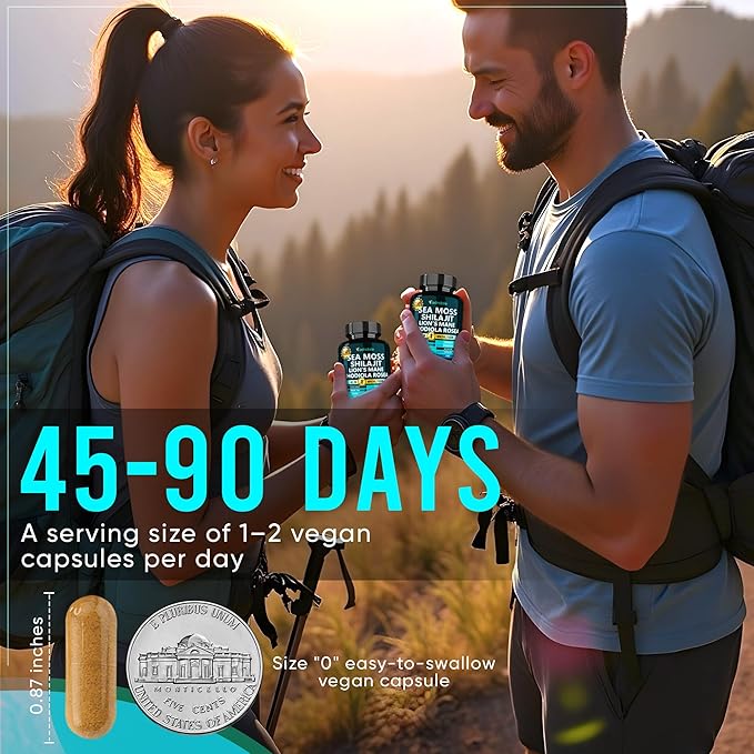 Adndale SeaMoss Shilajit Combo - Sea Moss and Shilajit Bundle with Lion's Mane CoQ10 Rhodiola Rosea Capsules - 90 Count