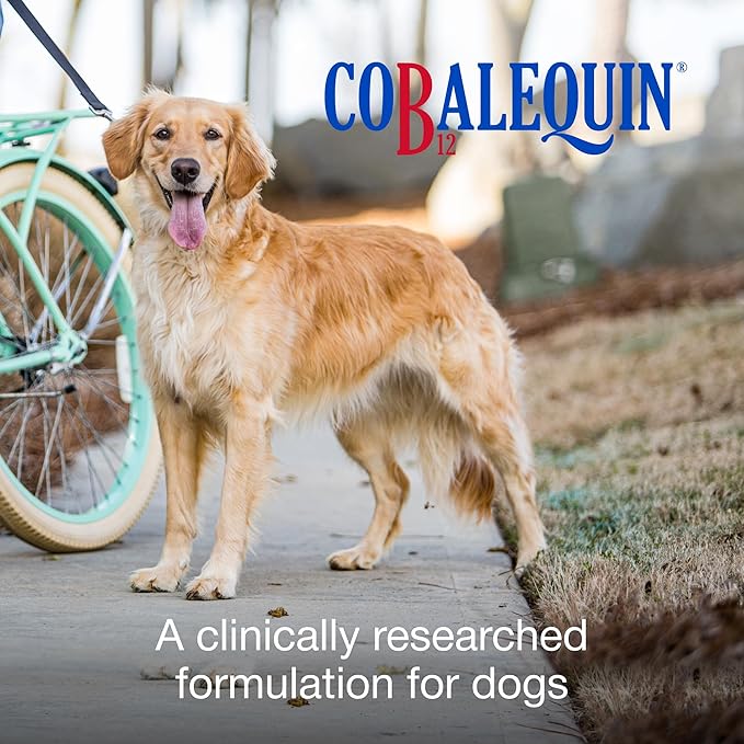 Nutramax Cobalequin B12 for Dogs Oral Cobalamin Supplement with Folate Vitamin B12 for Dogs Over 22 lbs. Supports GI Health Chewable Tablets 45 Count