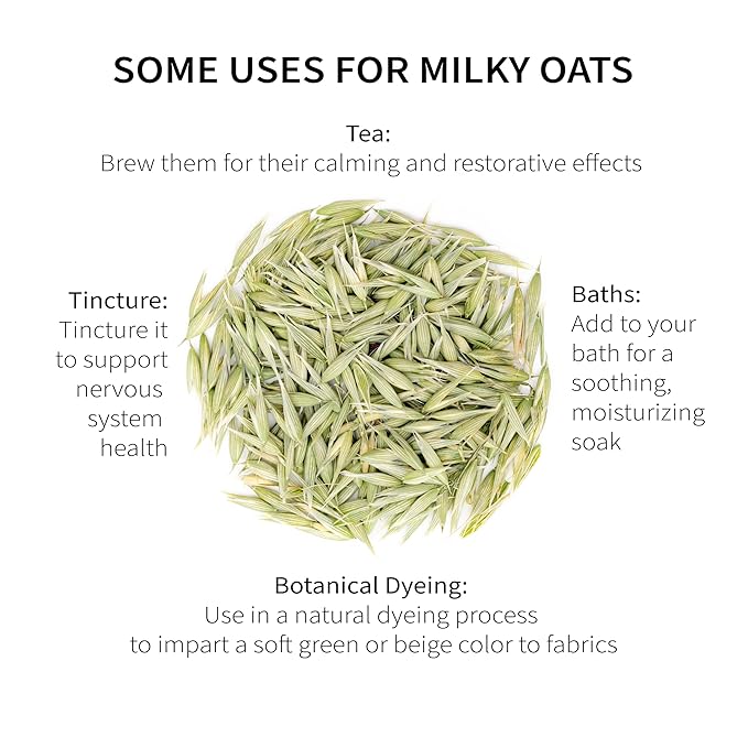 Milky Oats Organically Grown in Wisconsin | 5.6 oz | 79 Servings | Sacred Blossom Farm | Herbal Tea &amp Medicinal Herbs | Loose Leaf | Regenerative Farming | Single Source | Avena Sativa
