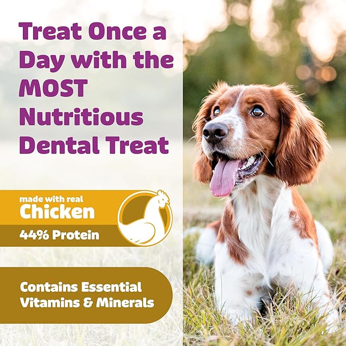 Yummy Combs Dog Dental Treats – Vet VOHC Approved Removes Tartar &amp Cleans Teeth – Yummy High Protein Chicken Treat for Extra Large Dogs (Mini Pack 4 Count)