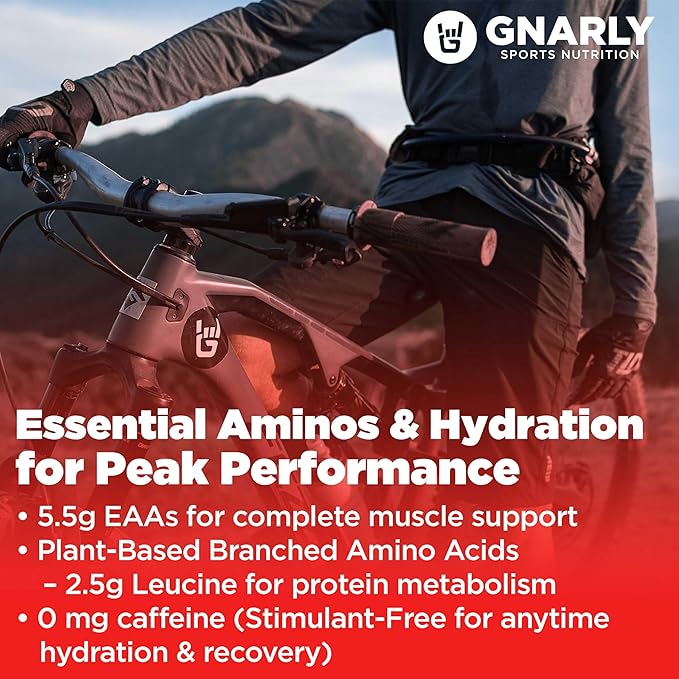 Gnarly Nutrition Essential Aminos Powder Berry Lemonade – Pre-Workout Amino Acids – NSF Contents Certified – Supplement to Support and Rebuild Muscle – Berry Lemonade Caffeine Free 10.58 oz