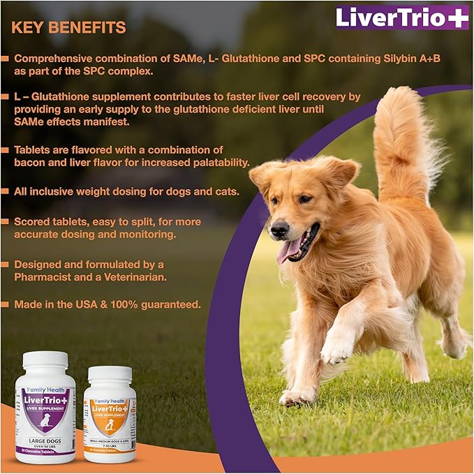 Comprehensive Liver Support Supplement for Large Dogs. Flavorful Chewable Tablets Combining Same SPC Silybin A+B + Glutathione 30Ct (Large)