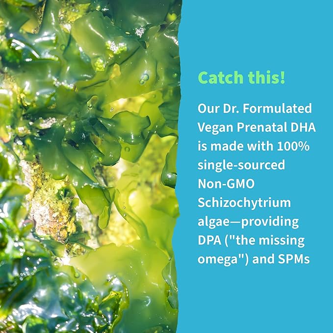 Garden of Life Dr. Formulated Prenatal Vegan DHA - Certified Vegan Omega 3 Supplement with 400mg DHA + DPA from Algal Omega 3 in Triglyceride Form Non-GMO 30 Softgels