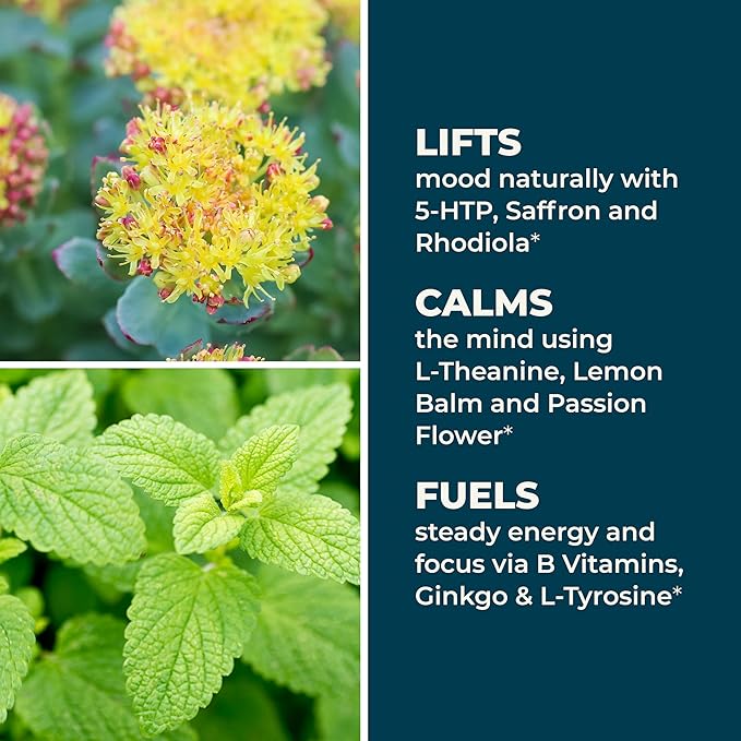 LifeSeasons - Mood Stabili-T - Positive Mood Booster - Enhanced Calmness and Happiness - Relaxed and Balanced Mind - Contains Rhodiola Ginkgo Biloba and Vitamin D3 - (60 Capsules)