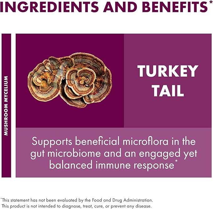 Host Defense Turkey Tail Mushroom Powder - Digestive Health &amp Immune Response Support Supplement - Mushroom Supplement for Gastrointestinal &amp Gut Microbiome Support - 7 oz (133 Servings)*