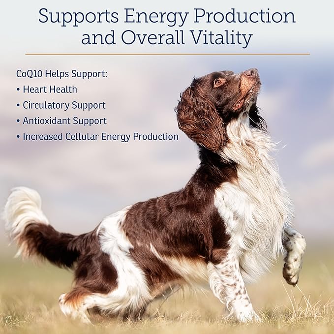 Rx Vitamins CoQ1030 - Coenzyme Q10 for Dogs &amp Cats - 100% Pure Ubiquinone Cat &amp Dog Heart Supplements - Promotes Cardiovascular Function and Antioxidant Support - 30 softgels