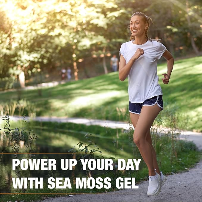 Biolore Wildcrafted Sea Moss Gel with Shilajit - Mango Pineapple 16 oz - Flavored Sea Moss Gel with Essential Vitamins &amp Trace Minerals - Vegan Superfood - Made in USA Gluten-Free No Added Sugar