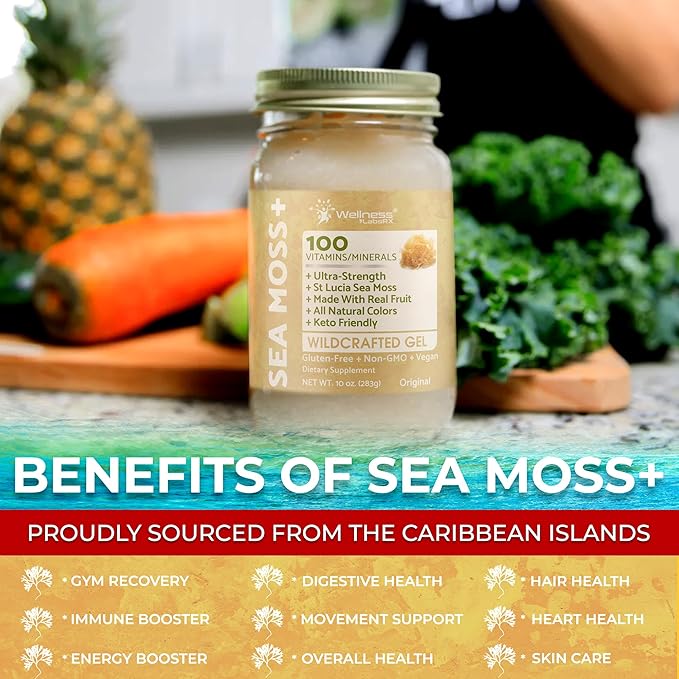 WELLNESS LABSRX Irish Sea Moss Gel Raw - Wildcrafted Superfood Seamoss Gel - Original Flavor Vitamin and Mineral-Rich from Pristine Caribbean Waters Immune and Digestive Health Support - 10 oz.