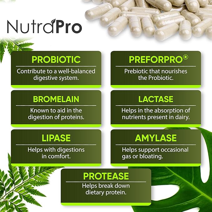 Complete Gut Health for Women and Men with Probiotic Prebiotic Postbiotic &amp Digestive Enzymes to Supports Digestive Lining HealthDigestion Health Occasional Gas and Discomfort.