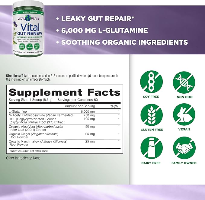 Vital Planet - Vital Gut Renew Powder Supplement for Leaky Gut Repair with L-Glutamine Marshmallow and Ginger Root DGL Licorice Root and Organic Aloe Vera L Glutamine 6000mg 13.76 oz