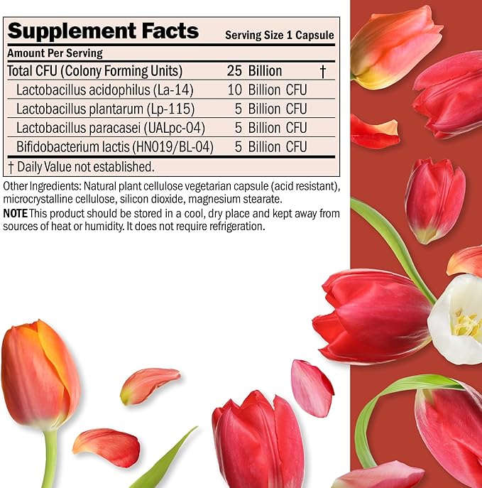 ANDREW LESSMAN Ultimate Friendly Flora Probiotic 60 Capsules - 25 Billion CFU Comprehensive Blend of Five Probiotic Strains Powerful Immune and Digestive Support. Probiotics for Women or Men