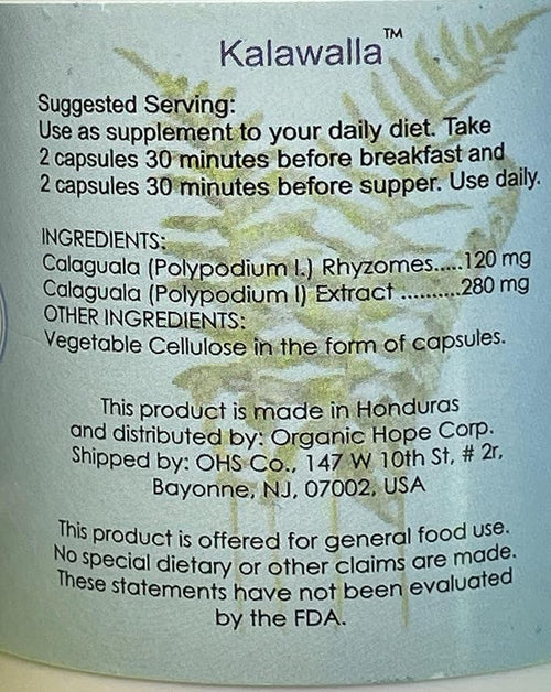 (Calaguala) with Polypodium Leucotomos for Immune System Support Highest Potency 50:1 Extract 400mg. (120 Veggie Caps)