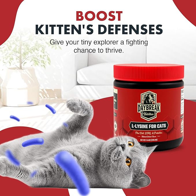 L-Lysine for Cats and Kittens - 900 mg L Lysine Powder for Cats for Immunity &amp Respiratory Support - Cat Supplement with L-Lysine Prebiotics Krill &amp DMG for Immune System (120 Servings)